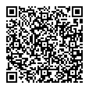 QR 036e701