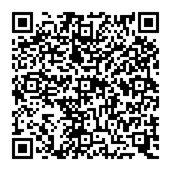 QR 167f533