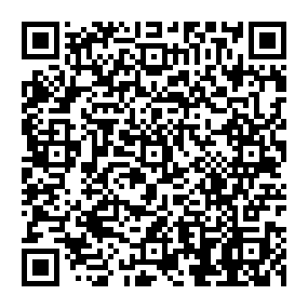 QR 17b8733