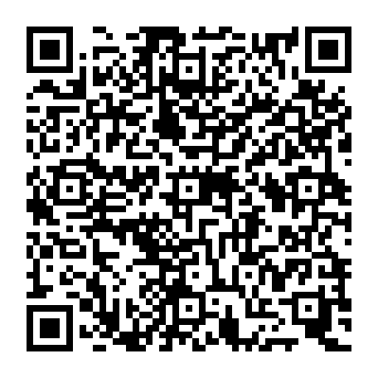 QR 196c533