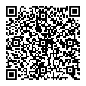 QR 2919eba