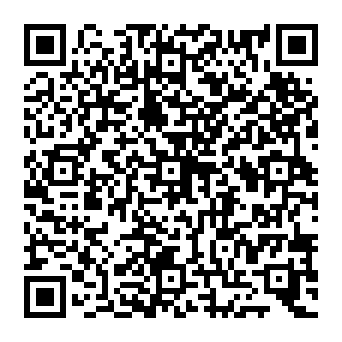 QR 291ab81
