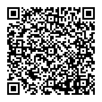 QR 293a863