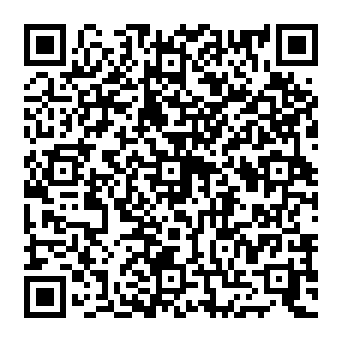QR 295a538