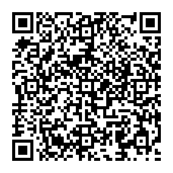 QR 295c29a