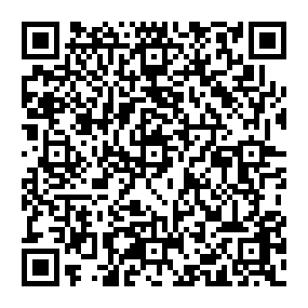 QR 295d4ca