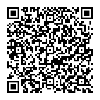 QR 313a059
