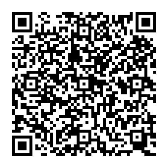 QR 313b096