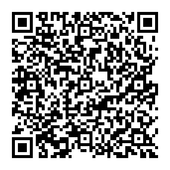 QR 313bf0a