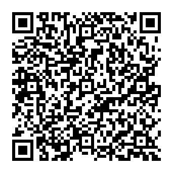 QR 313bfb2