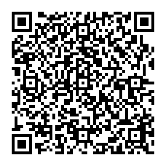 QR 313dab2