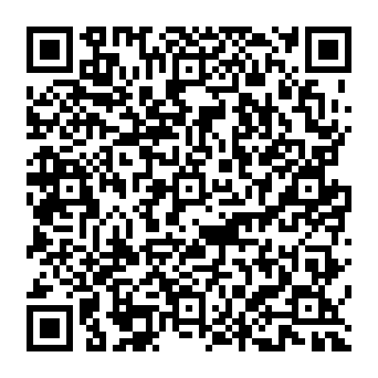 QR 313f419