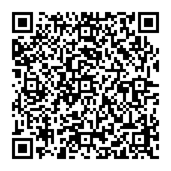 QR 355e699