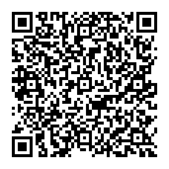 QR 37e3381