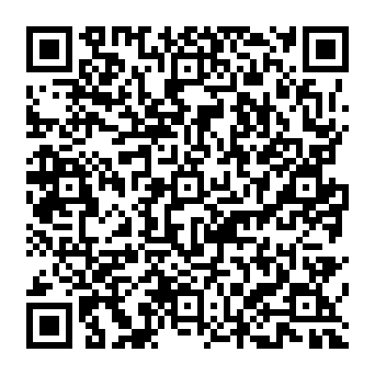 QR 381c809