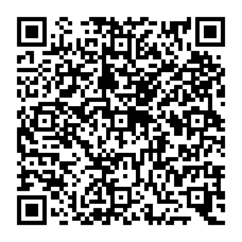 QR 381e811