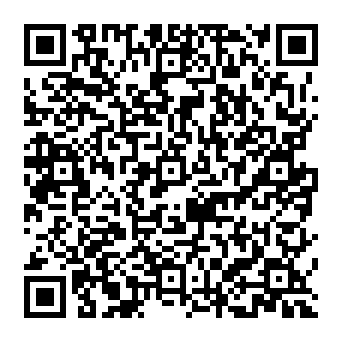 QR 381ec24