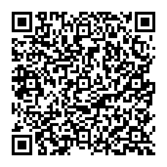 QR 382e33b