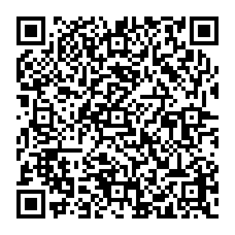 QR 383b513