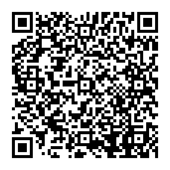 QR 384c833