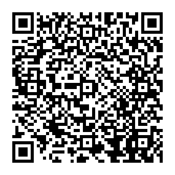 QR 387b981