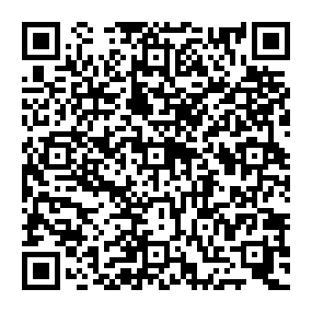QR 389ee13