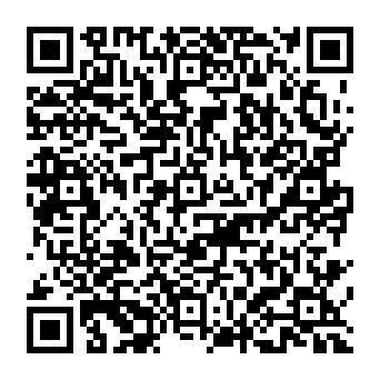 QR 393c13e