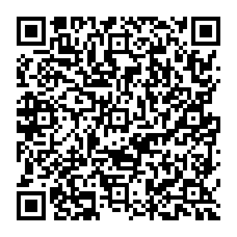 QR 4198991