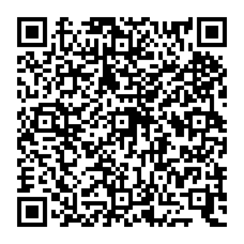QR 463b4e9