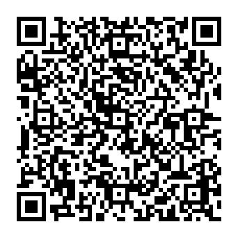 QR 463e785