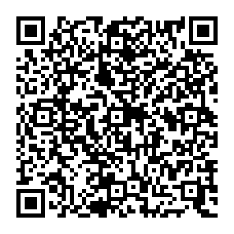 QR 4b99538