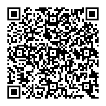 QR 53a3f41
