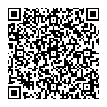 QR 53ab381