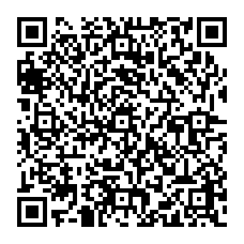 QR 917a313