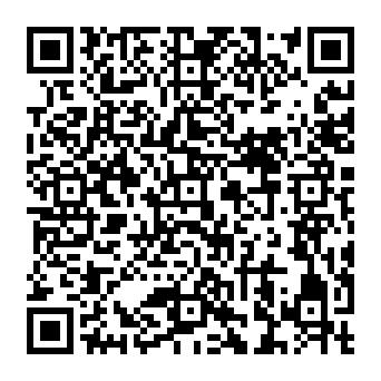 QR 919c460
