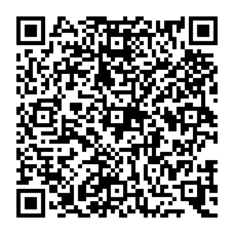QR 919d741