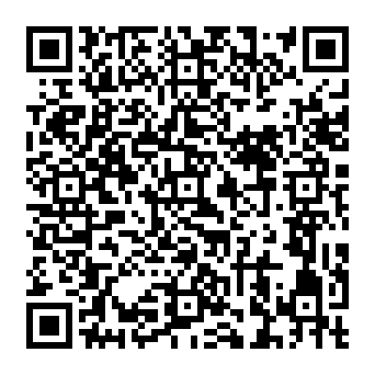 QR 994c313