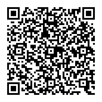 QR 9951199