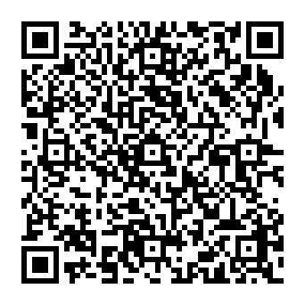 QR a313e0d