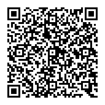 QR b919e4a