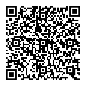 QR c385c2a