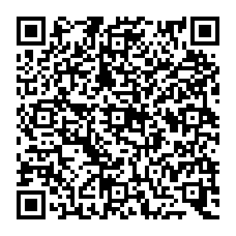 QR c51c91a