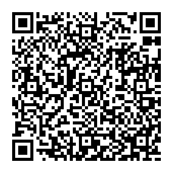 QR c919b58