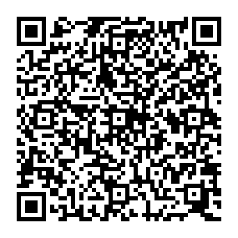 QR c919e7b
