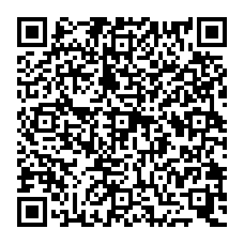 QR c993e33