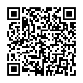 QR 0195e60