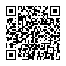 QR 028a959