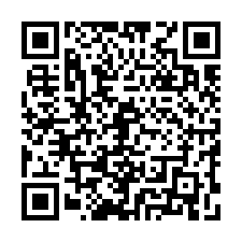 QR 028b735