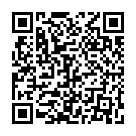 QR 029ce43