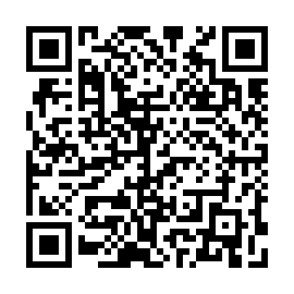 QR 0312533
